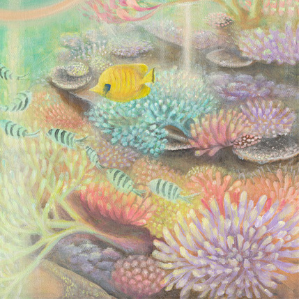 Ningaloo Reef with tropical fish