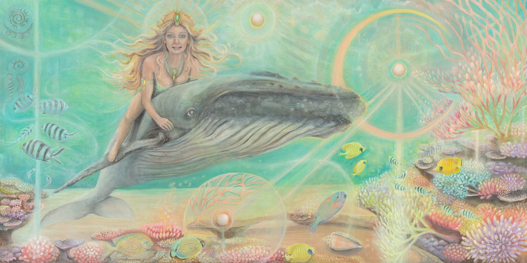 Sea Queen Ningaloo reef whale coral fish